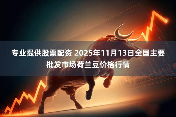 专业提供股票配资 2025年11月13日全国主要批发市场荷兰豆价格行情