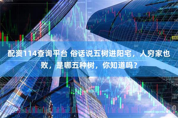 配资114查询平台 俗话说五树进阳宅，人穷家也败，是哪五种树，你知道吗？